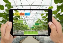 Pemerkasaan Pertanian