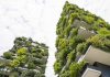Creating Environmentally Friendly Urban Buildings