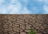 Sarawak Climate Change Policy