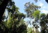 A Path Towards a Greener Future