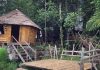 Kampung Berpotensi Dimajukan Menerusi Program Desa Lestari