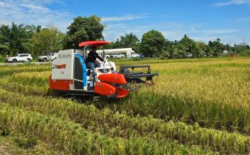 AgriHub@Gedong AgriHub@Gedong