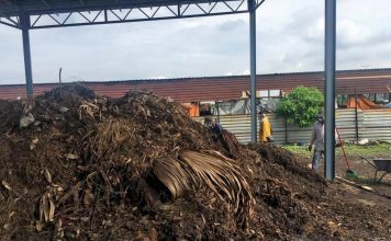 Sasaran Pembangunan Lestari (SDG) Sasaran Pembangunan Lestari (SDG)