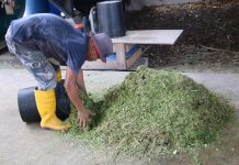 Meneroka Ekonomi Kitaran Melalui Penternakan Lestari