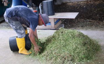 Meneroka Ekonomi Kitaran Melalui Penternakan Lestari