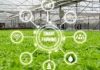 Sarawak Invest in Smart Farming