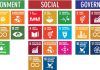 Skills Development and Sustainability in the Workforce