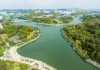 Environmental Protection Must Remain a Priority during COVID-19