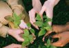 The Significance of Environmental Responsibility