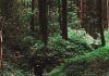 The Concept of Responsible Tourism in Sarawak