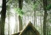 Developing and Enhancing Community Tourism in Sarawak