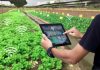 Investment in Agriculture Technology for More Productive and Sustainable Economy