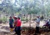 Peluang Untuk Penduduk Di Meradong Usahakan Projek Pertanian