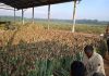 SALCRA Laksana Sembilan Projek Berimpak Besar Dalam RMK-12