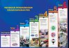 Accelerating Entrepreneurial Growth Through Innovation Development