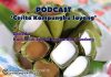 Podcast Gedong : Episod 4 – Kuih Muih Tradisi Masyarakat Gedong