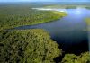 Memanfaatkan Kekayaan Biodiversiti