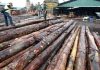 Sarawak Forest Management and Protection Enhance with Technology