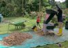 Inisiatif Pengurusan Dan Penjagaan Alam Sekitar BDA
