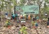 Sarawak’s Strategies in Reaching Net-Zero Emissions