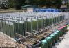100 Hektar Kawasan Penanaman Alga Baharu di Gedong