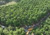 Projek Model Ladang Hutan Sarawak