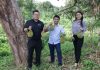 Stesen Penyelidikan Pertanian Wilayah Utara Sarawak