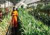Safeguarding Crops Through Biosecurity and Quarantine