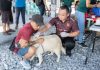 Fighting Rabies: Sarawak’s Ongoing Battle