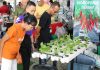 Usahawan Tempatan Raih Peluang di Agrofest
