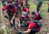 Cultivating Ecosystem Understanding