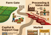 Sarawak’s Agricultural Ambitions From Policy to Practice