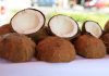 Dari Sebiji Kelapa, Lahir Seribu Peluang