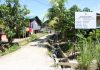 Rural Sarawak Paths Bring Progress